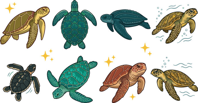 Sea Turtle Collection with Marine Reptiles Swimming Ocean Wildlife and Multiple Species Vector Illustration Set
