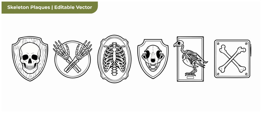 Skeleton vector icons plaque crest black line art design elements featuring gothic skulls bones rib cage and taxidermy style frames for halloween horror and gothic occult branding decorations graphic
