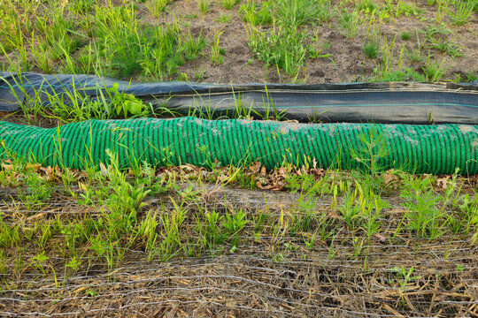Green compost filter sock by mesh netting. Environmental engineering, runoff, filtration, and erosion control efforts.