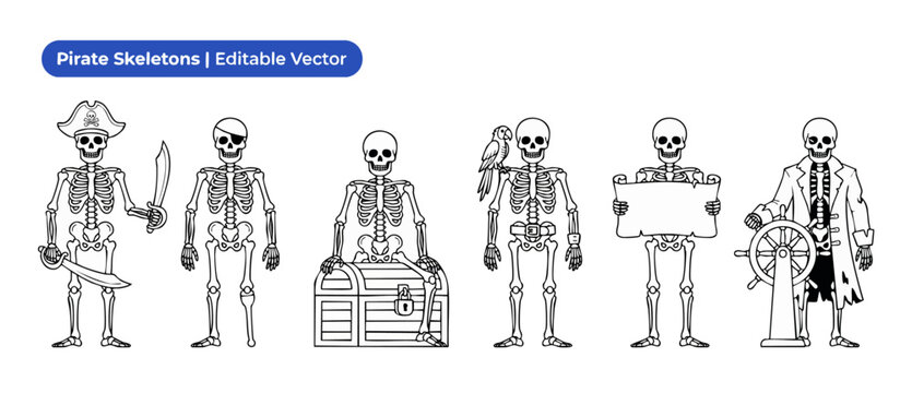 Skeleton pirate vector line art character set standing with pirate hat, treasure chest, cutlass sword, and parrot for spooky Halloween coloring book pages, isolated black ink outline graphic.