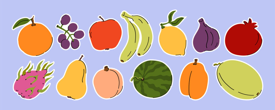 Assorted tropical and garden fruit set in simple style. Hand drawn vector illustration with doodle  elements.  Watermelon, fig, grapes, lemon, orange, mango, peach, apple, banana, dragon fruit.