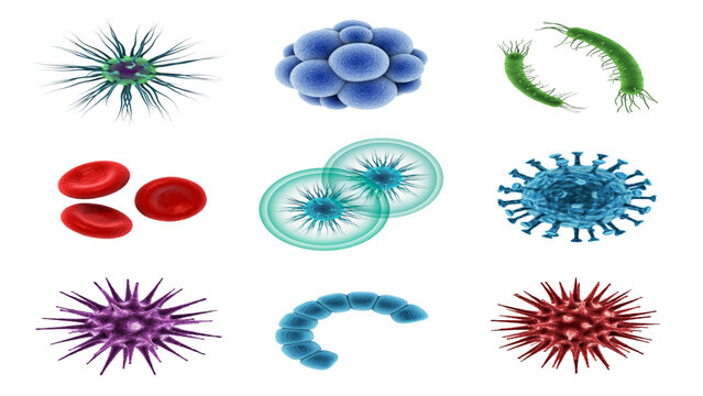 Colorful collection of bacteria and virus medical illustrations in a clean style