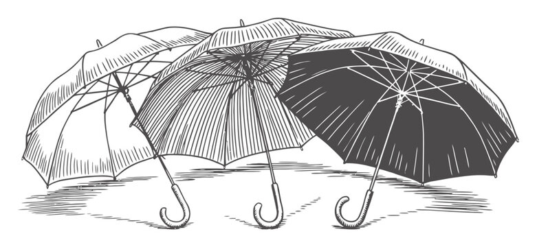 A vintage-style hand-drawn featuring three open umbrellas standing side by side on a white background