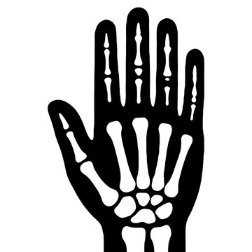 hand, xray, bone