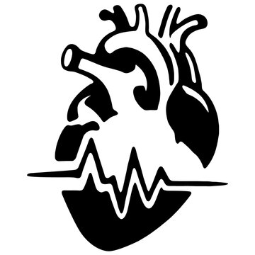 heart, organs, health