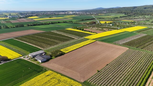 Felder bei Ockstadt in der Wetterau