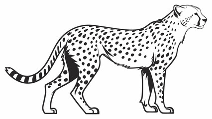 Black and white stylized illustration of a cheetah in profile with predator © Md