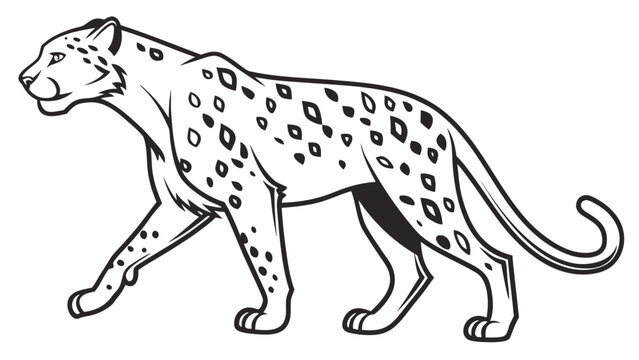 Detailed line art illustration of a walking spotted leopard with predator