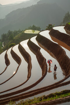 Umbrella on flooded terraces