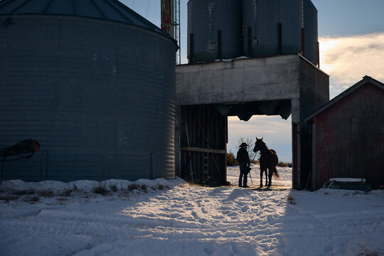Farm Person Leads Horse Through Snow in Winter Evening Sky