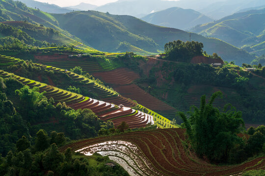 Layered terraces and hills