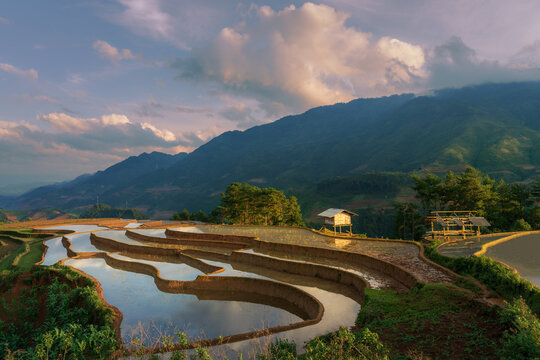 Golden light on terraces