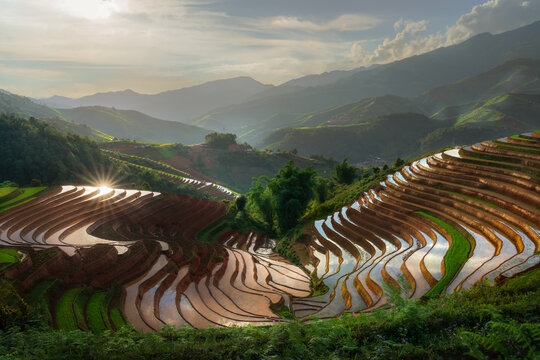 Sunlit terraces panorama