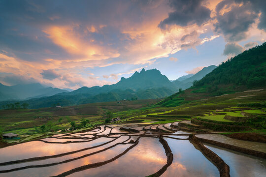 Sunset reflections on rice terraces