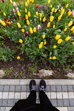 A person's legs next to a flower bed
