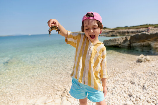 Happy child holding crab on beach