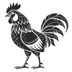 rooster isolated on white © UmmaeHafsha