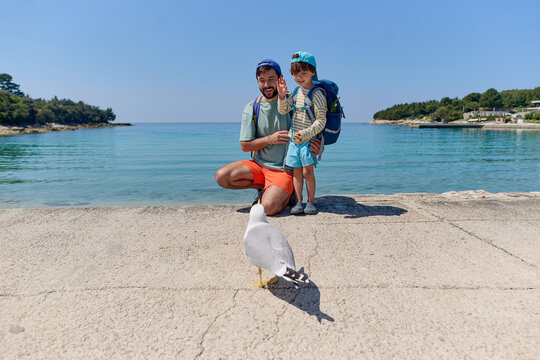 Father and child watching a seagull