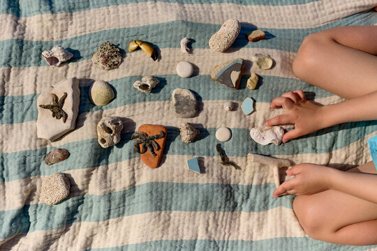 Child playing with seashells on the beach