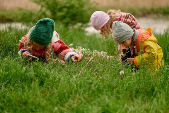 Children Exploring Grass With Magnifying Glasses