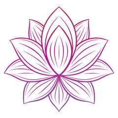 Fototapeta premium watercolor orchid vector
