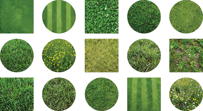 Collection of various green grass textures and lawn patterns in circular and square shapes vector illustration