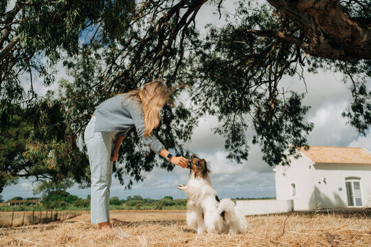 Woman Training Continental Toy Spaniel Papillon Outdoors