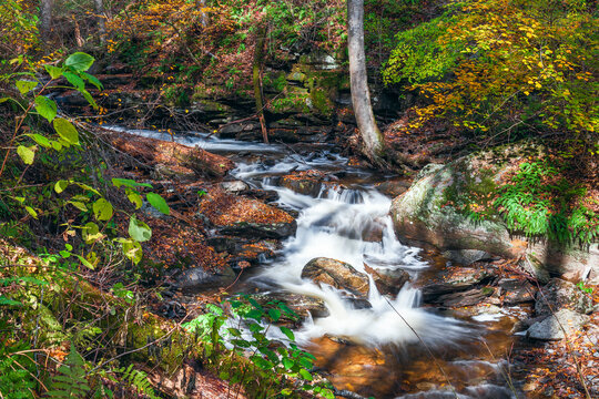 Ganoga Glen section of Kitchen Creek just downstream from the Erie Falls in Ricketts Glen State Park. Pennsylvania