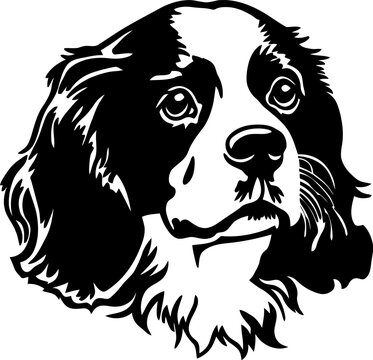 Vector illustration of a cavalier king charles spaniel dog head portrait