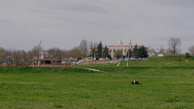 spring nature on the banks of the Dniester
