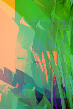 Vibrant Abstract Palm Tree