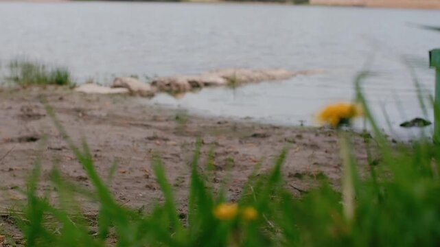 spring nature on the banks of the Dniester