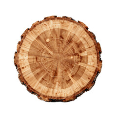 Obraz premium Close up of a tree slice showing its rings, texture, and organic form