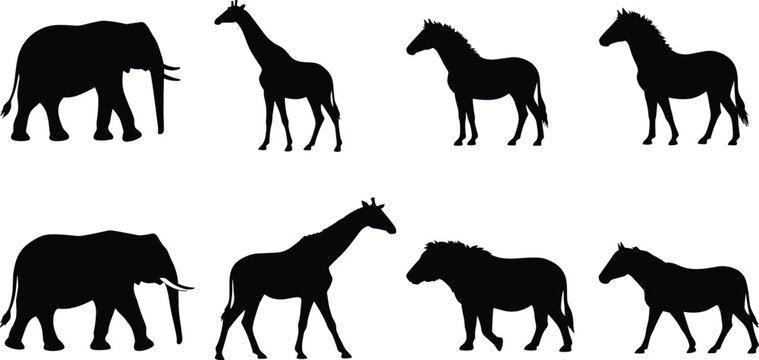 Wild animal silhouettes collection, elephant, giraffe, zebra, and horse vector illustration, African safari wildlife design, black animal shapes
