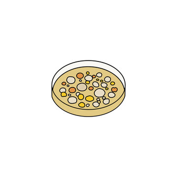 Mixed Bacterial Colonies on Agar Plate Vector Illustration