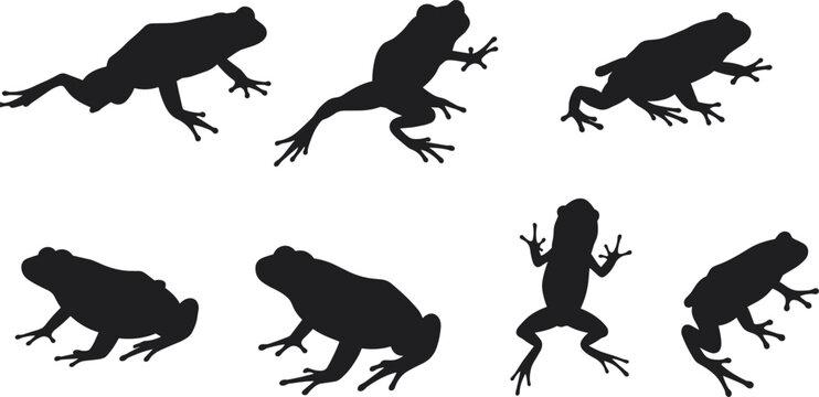 Frog silhouettes collection isolated on white background, black vector illustration of amphibian animals, jumping frog design, nature wildlife shapes