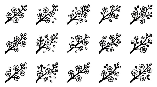 Black and white cherry blossom branches.