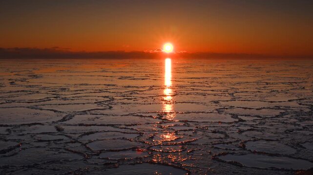 根室湾の日の出　ハスの葉氷