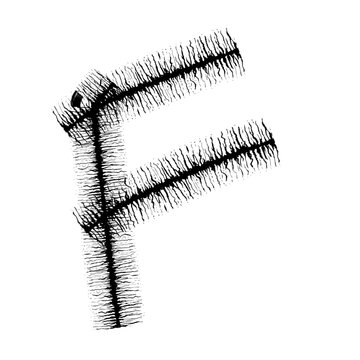 Alphabet leter