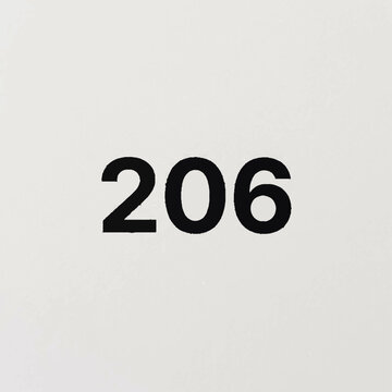 Bold black number 206 centered on a plain white background.