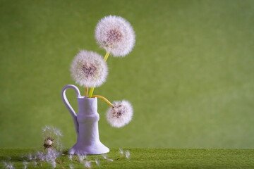 Fluffy dandelion flowers in vase  Taraxacum Officinale  © ramona georgescu
