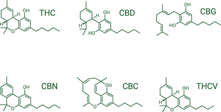 Cannabinoid chemical structure skeletal formula vector set with green icons for THC CBD CBG CBN CBC and THCV molecules isolated