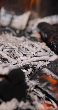  logs burning in a barbecue campfire in the park, the details of the branches, some of which are burned and covered with coals, orange flames on the branches and logs, close up