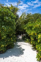 A coral sand path winds through tropical foliage toward a shaded beachfront villa in the Maldives, with sun dappled leaves and midday light under a cloud dappled sky. © Aerial Film Studio
