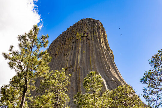 Close Up View of Devils Tower from the Base