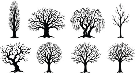 Bare trees silhouettes, various shapes and sizes on white background, black and white © Md