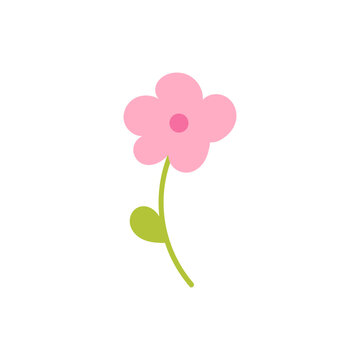 Simple pink daisy flower on isolated background. Flat vector illustration