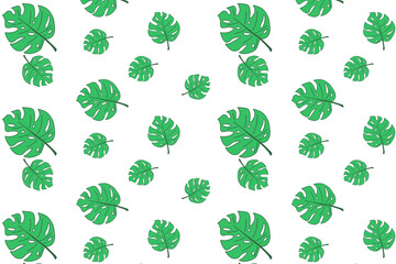 Fototapeta premium Tropical Monstera Leaf Seamless Pattern Background