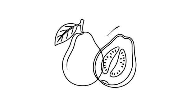 Continuous One Line Java Guava Whole and Sliced Fruit Orchard Logo Animation Vector