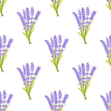 Seamless pattern with lavender bouquets. Botanical floral vector background. Provence herbal plant hand drawn illustration